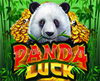 Panda Luck